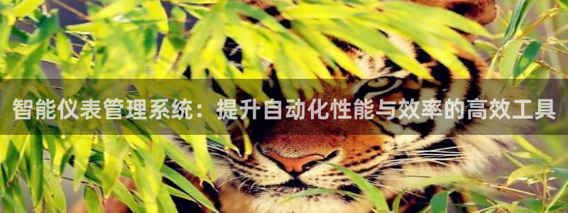 九游会小米28