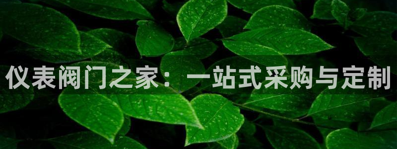 九游会老哥
