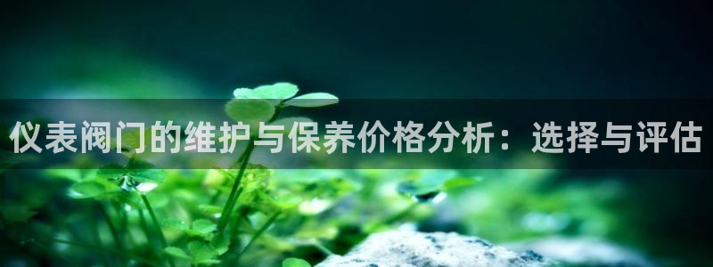 ja九游会
