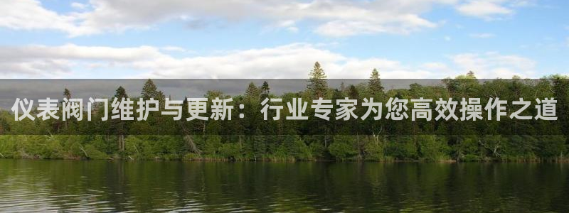 九游ag九游会