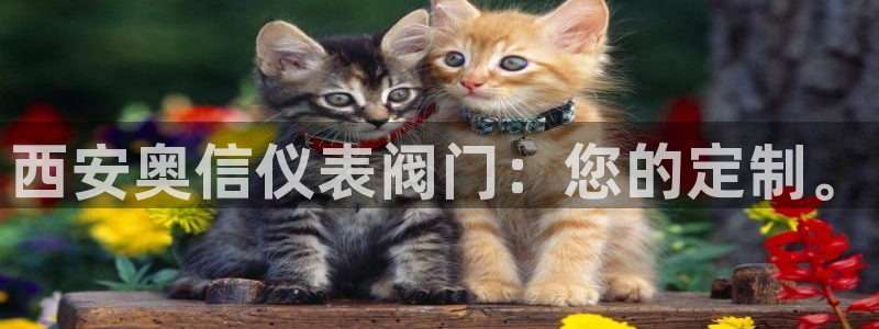 九游会九游会