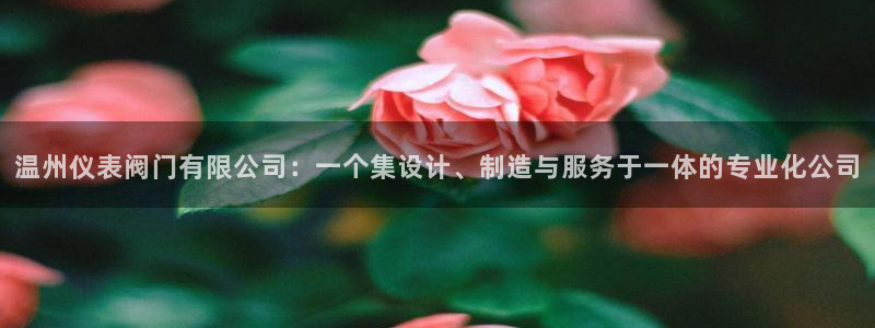 九游会新站