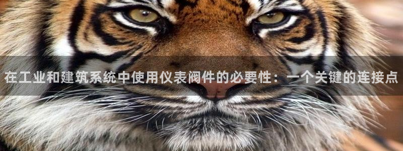 ag变为九游会