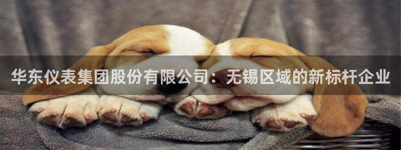 91九游会