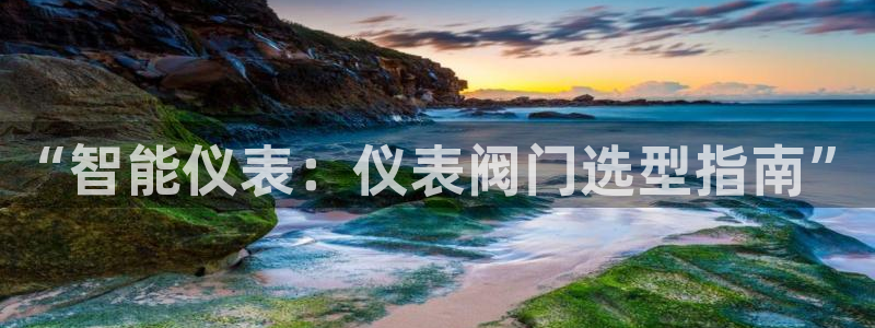 九游会体育官方网站