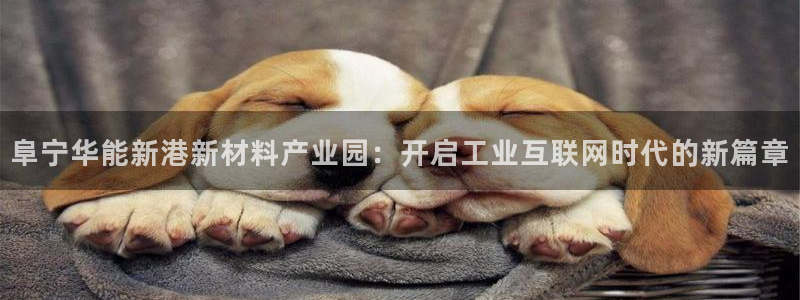 九游会双币