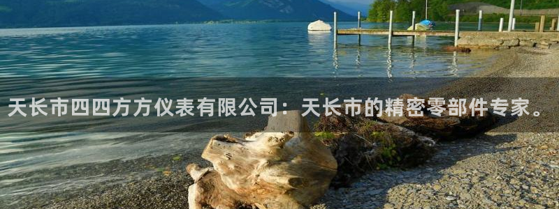 九游会ag手游网