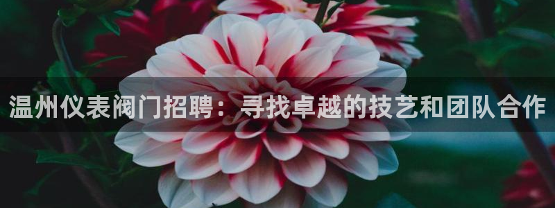 j9九游会官网