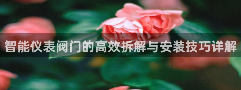 j9九游会手机