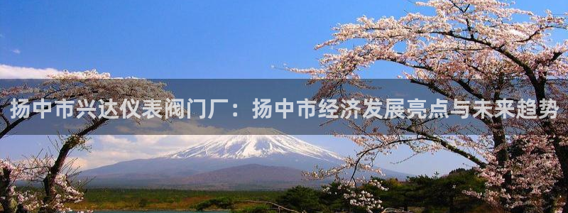 j9九游会最新网站