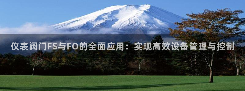 九游会ag亚洲