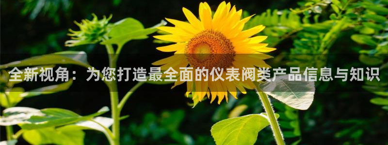 九游会强烈