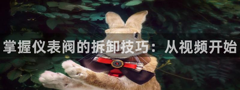 旧站九游会