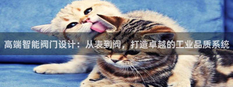 九游ag九游会
