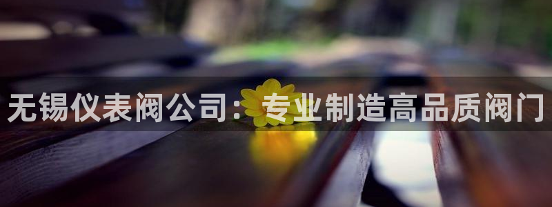 pt九游会