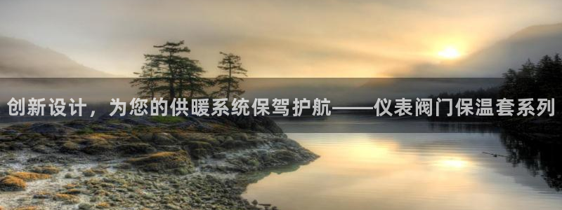 九游会怎么登