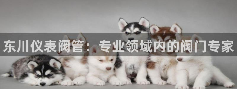 j9九游会登陆