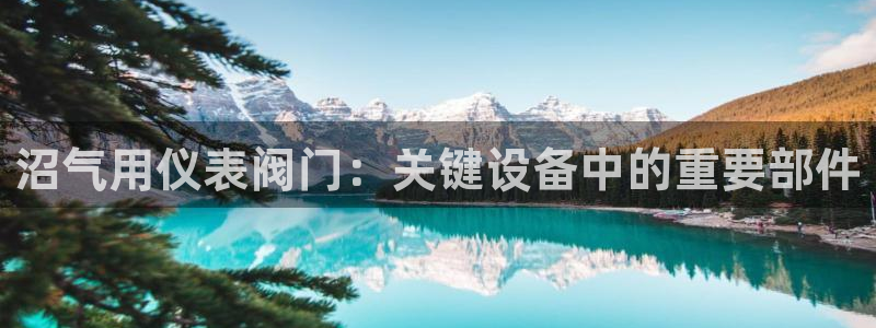 九游会和亚游