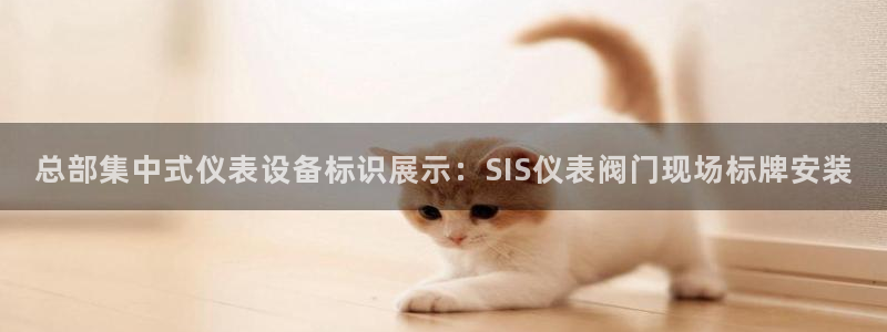 亚游和九游会