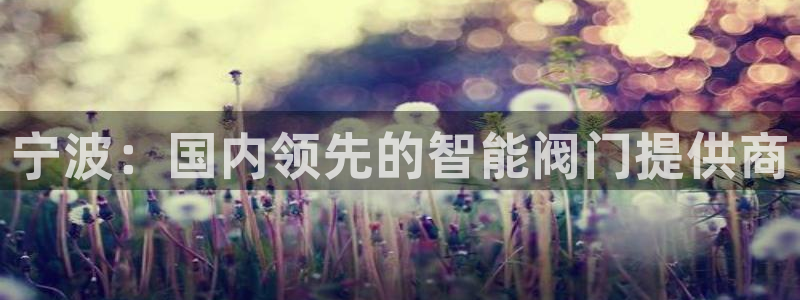 九游会全站官网链接