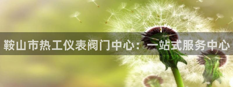 九游会a