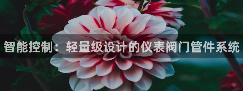 九游会官网贴吧下载