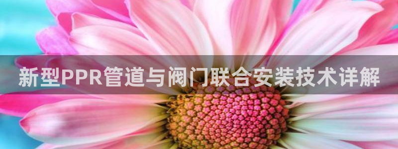 九游会真假
