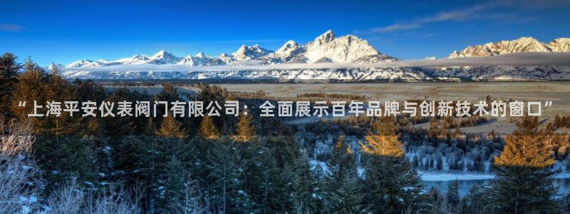 灯游会九门