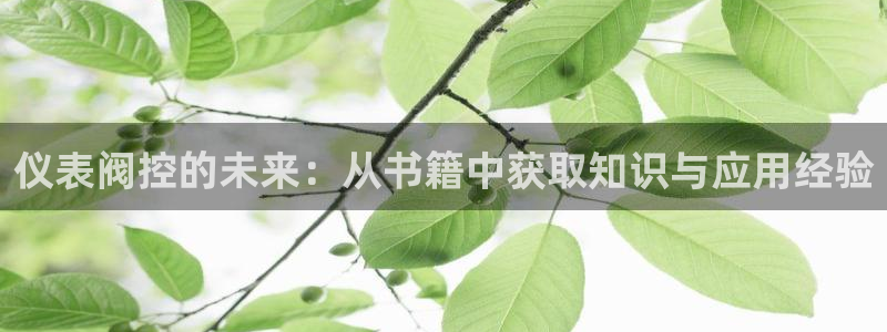 ag金九游会