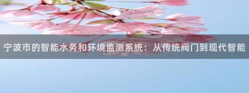 担保网九游会