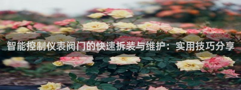 j9九游会一直打不开
