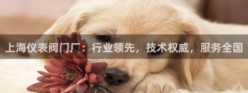 九游会黑人