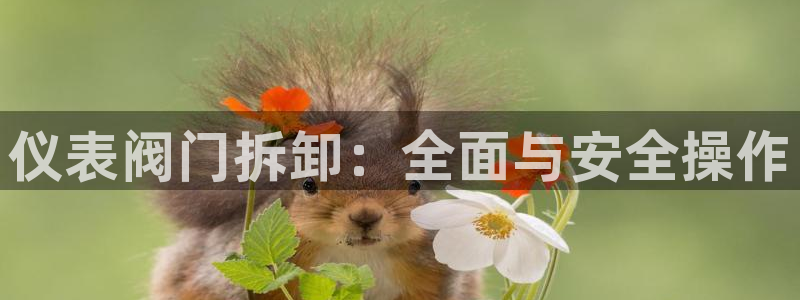 J9九游会官方网站
