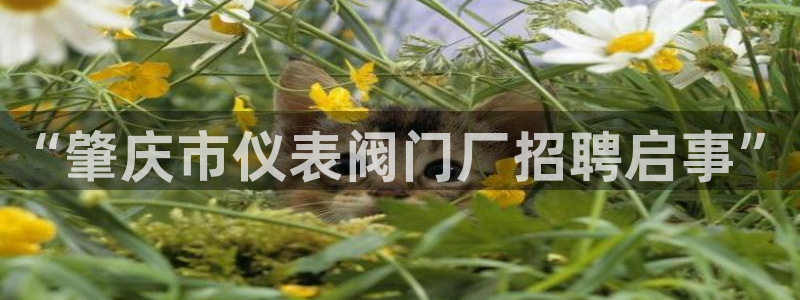 九游最佳球会