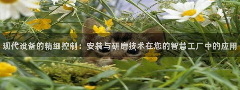 ag九游会老哥