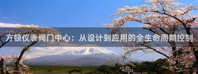 哪个才是九游会