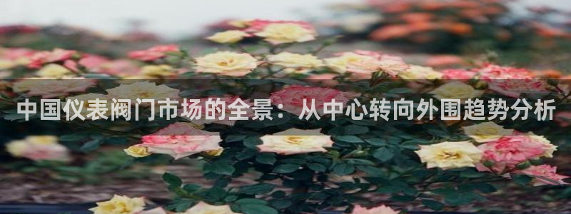 j9九游会提款稳定吗
