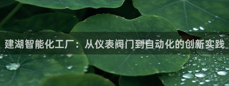 九游会官方app