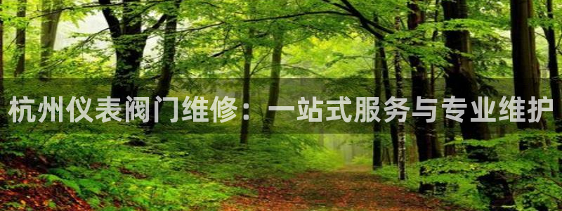 网赌九游会
