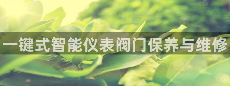九游会游戏官网网页版