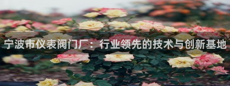 泰国九游会