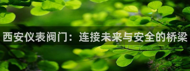 j9九游会路单