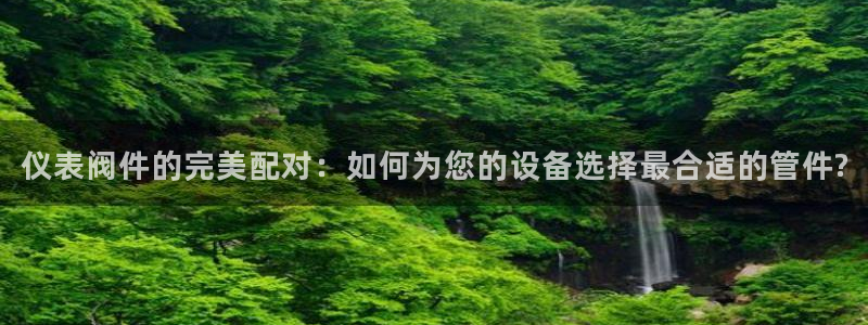 j9九游会登陆旧版
