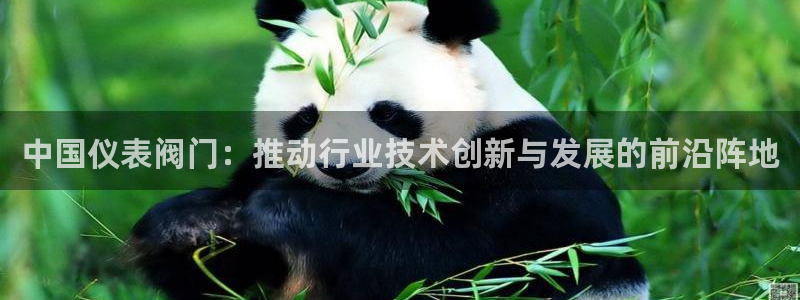 九游会台子