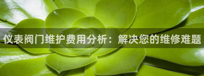 m九游会