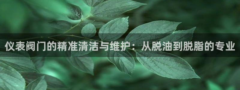 J9九游会真人游戏第一品牌