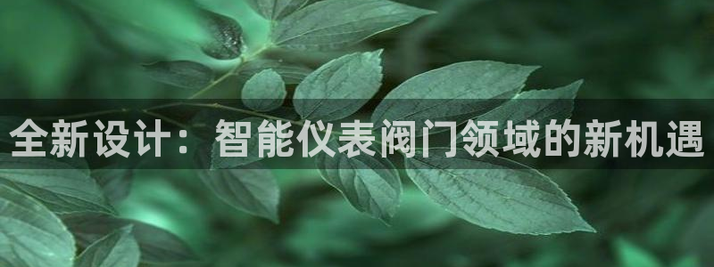 九游真人会