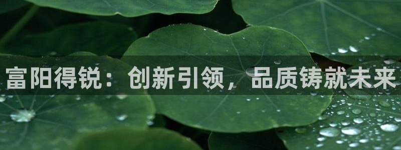 九游会入口