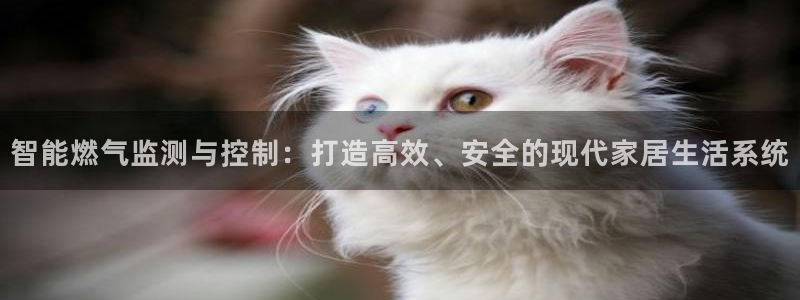 九游会备用线路