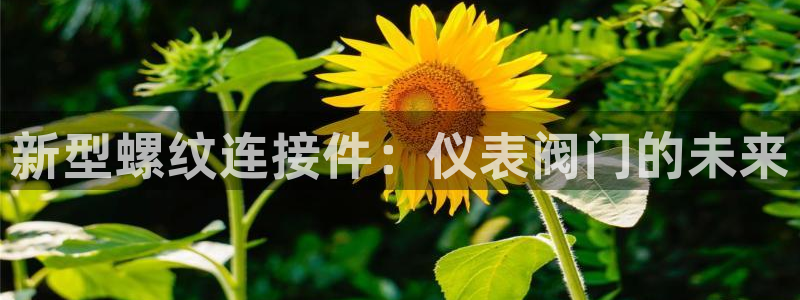 旧版九游会入口